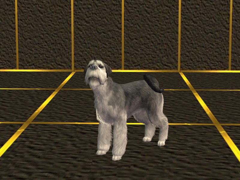 Woof!
